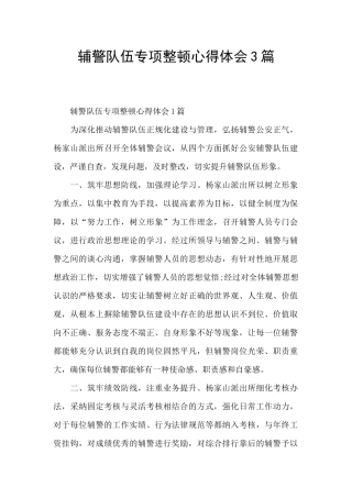 辅警队伍专项整顿心得体会3篇