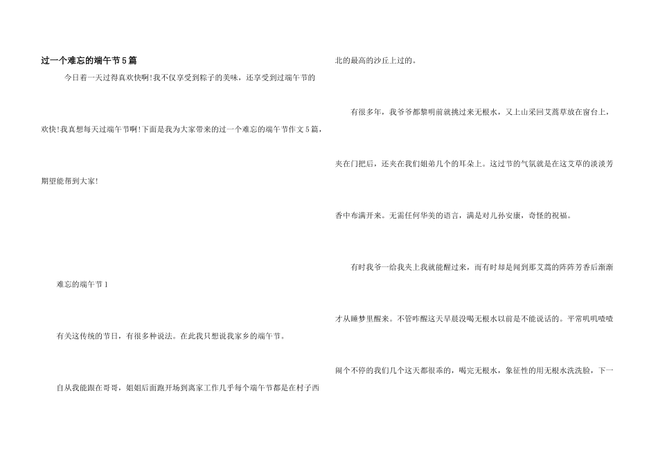 过一个难忘的端午节5篇_第1页