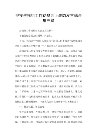 迎接巡视组工作动员会上表态发言稿合集三篇