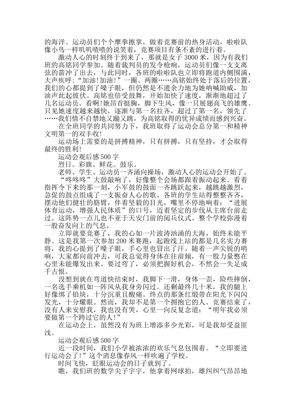 运动会观后感500字6篇_第3页