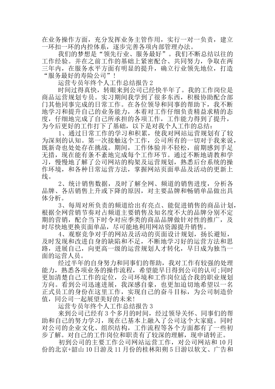 运营专员年终个人工作总结报告_第2页