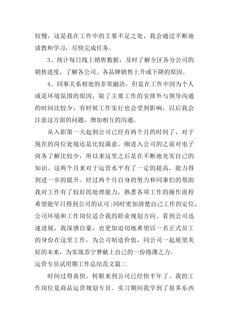 运营专员试用期工作总结与计划_第2页