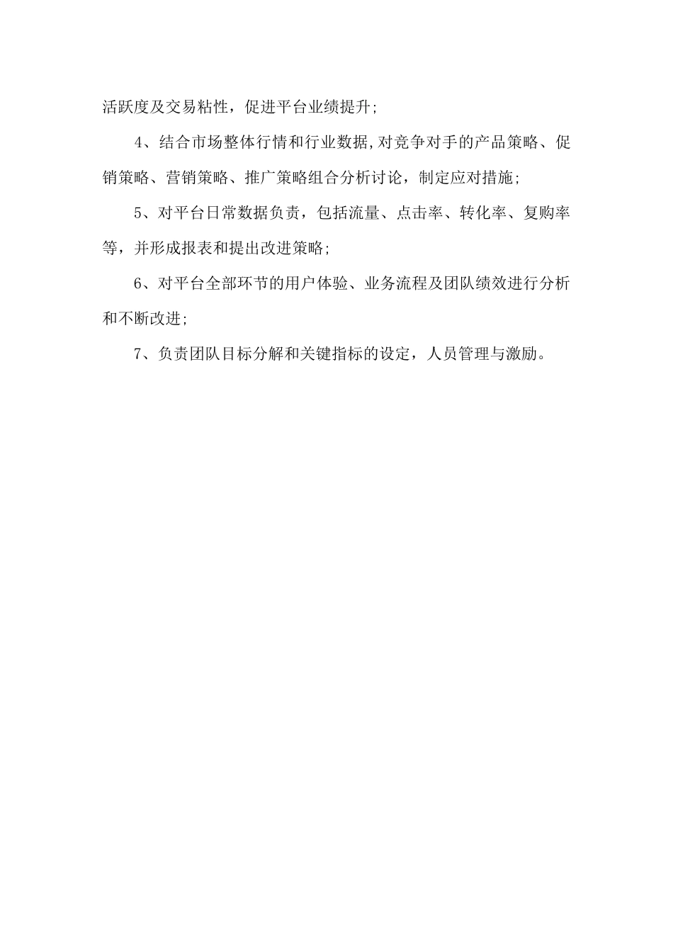 运营总监工作计划表_第3页