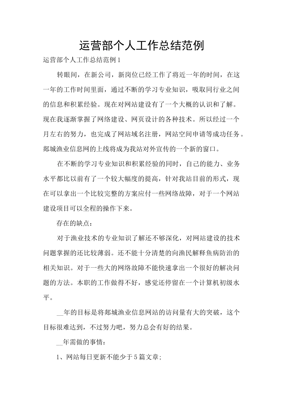 运营部个人工作总结范例_第1页