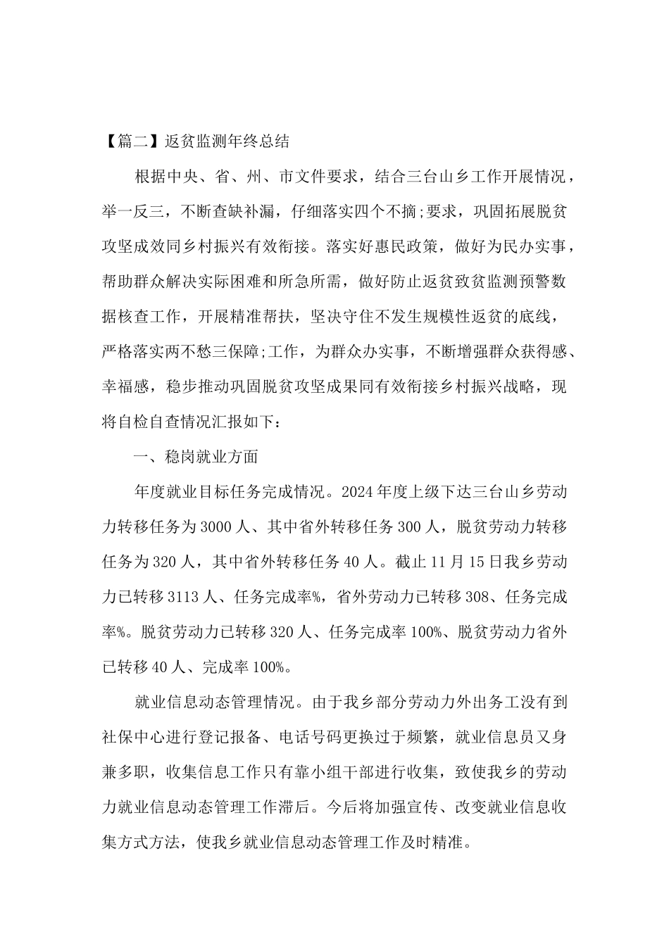 返贫监测年终总结_第2页