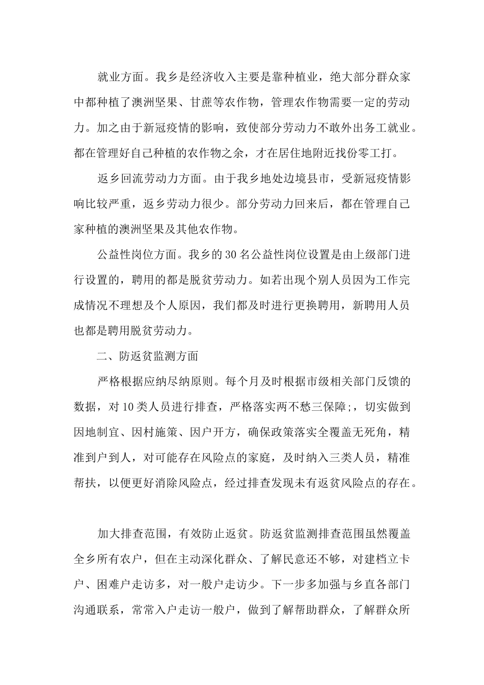 返贫监测年终总结_第3页