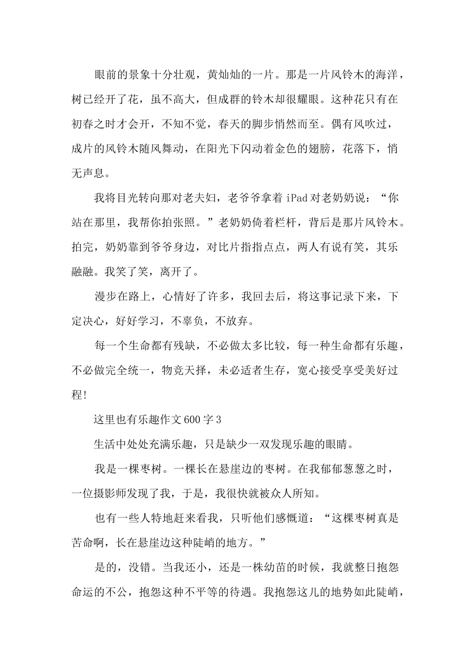 这里也有乐趣作文600字5篇_第3页