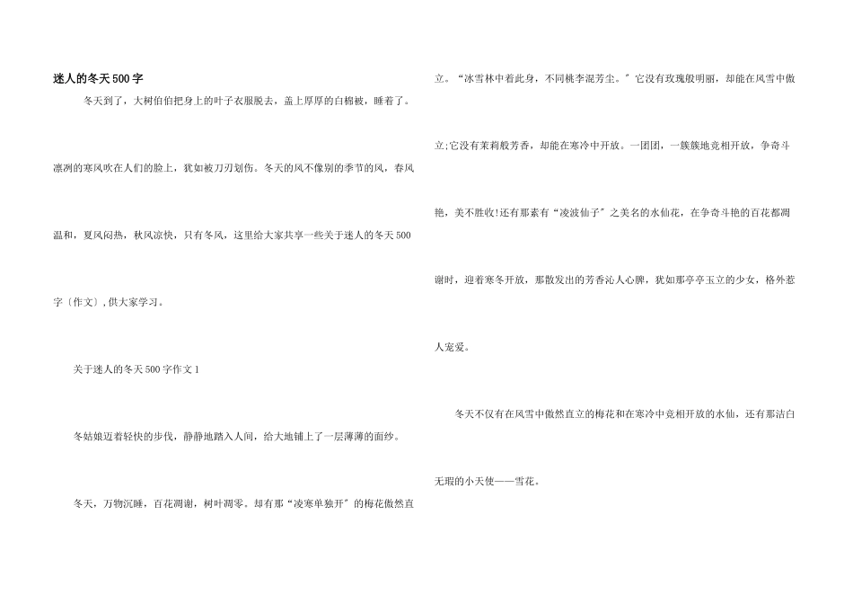 迷人的冬天500字_第1页