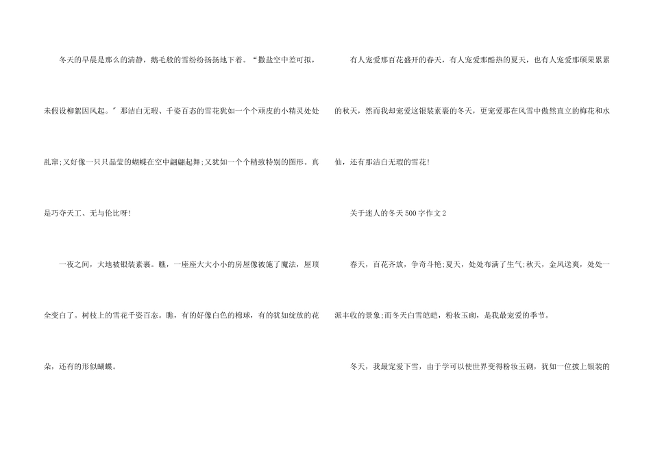 迷人的冬天500字_第2页