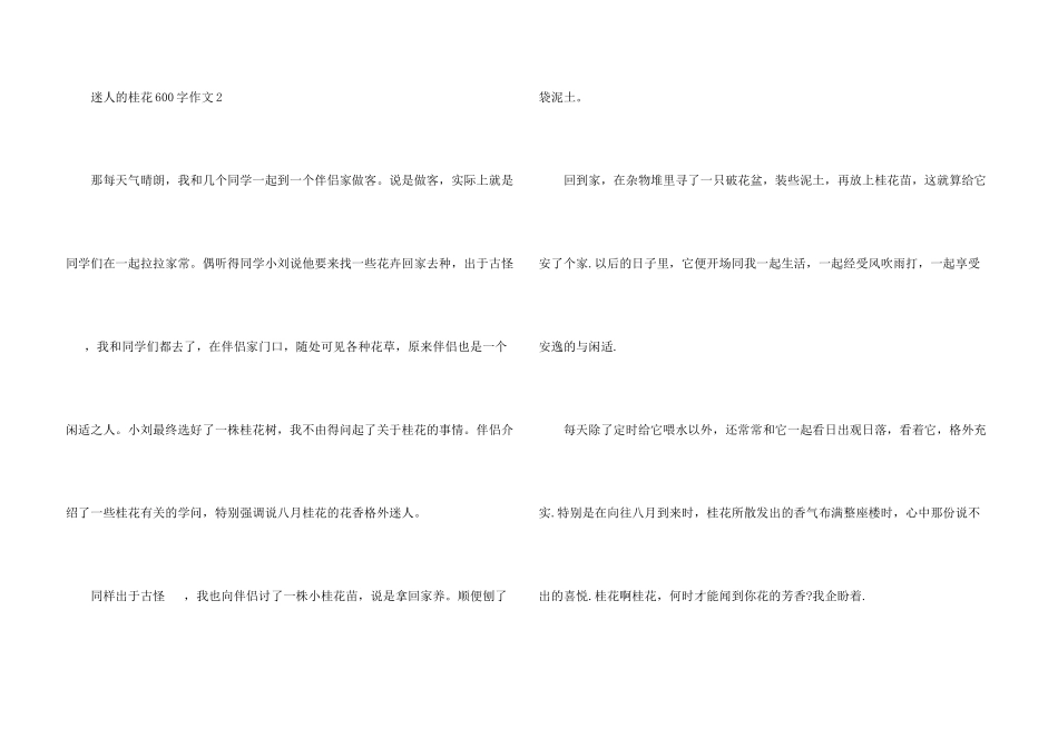 迷人的桂花600字_第3页