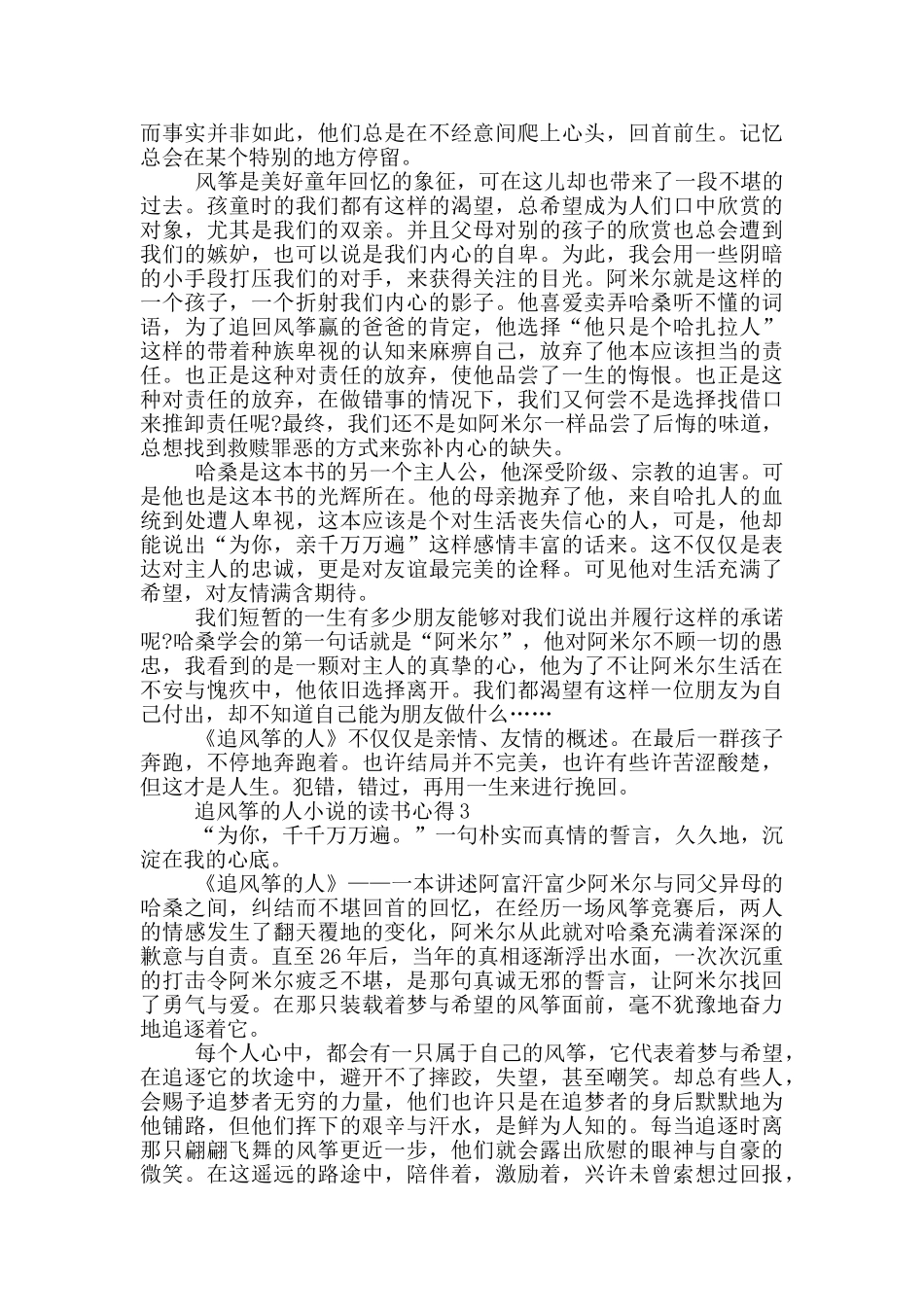 追风筝的人小说的读书心得_第2页