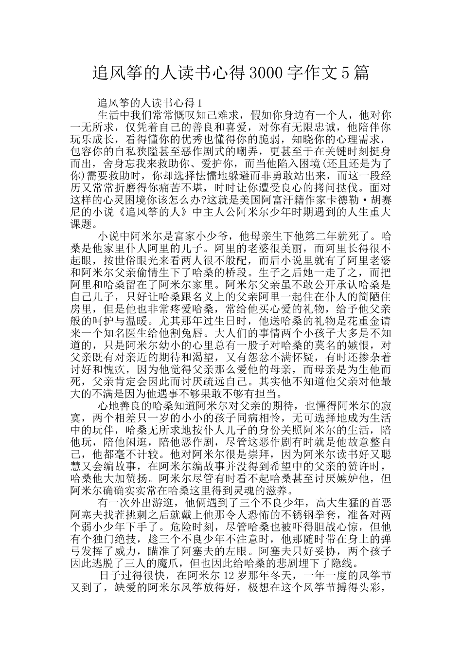 追风筝的人读书心得3000字作文5篇_第1页