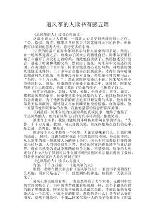 追风筝的人读书有感五篇