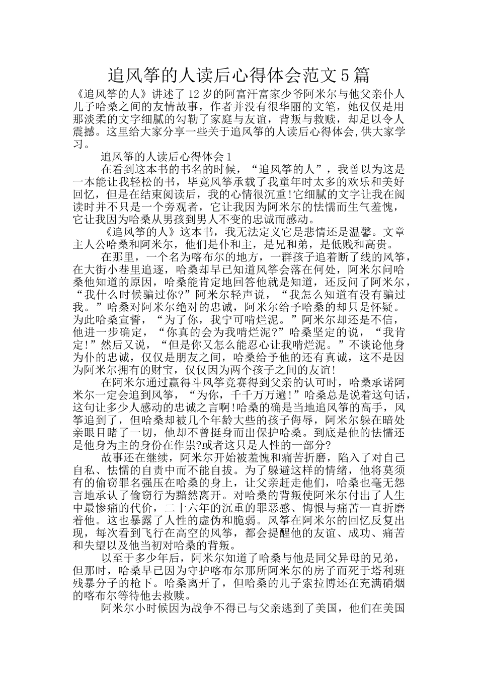 追风筝的人读后心得体会范文5篇_第1页