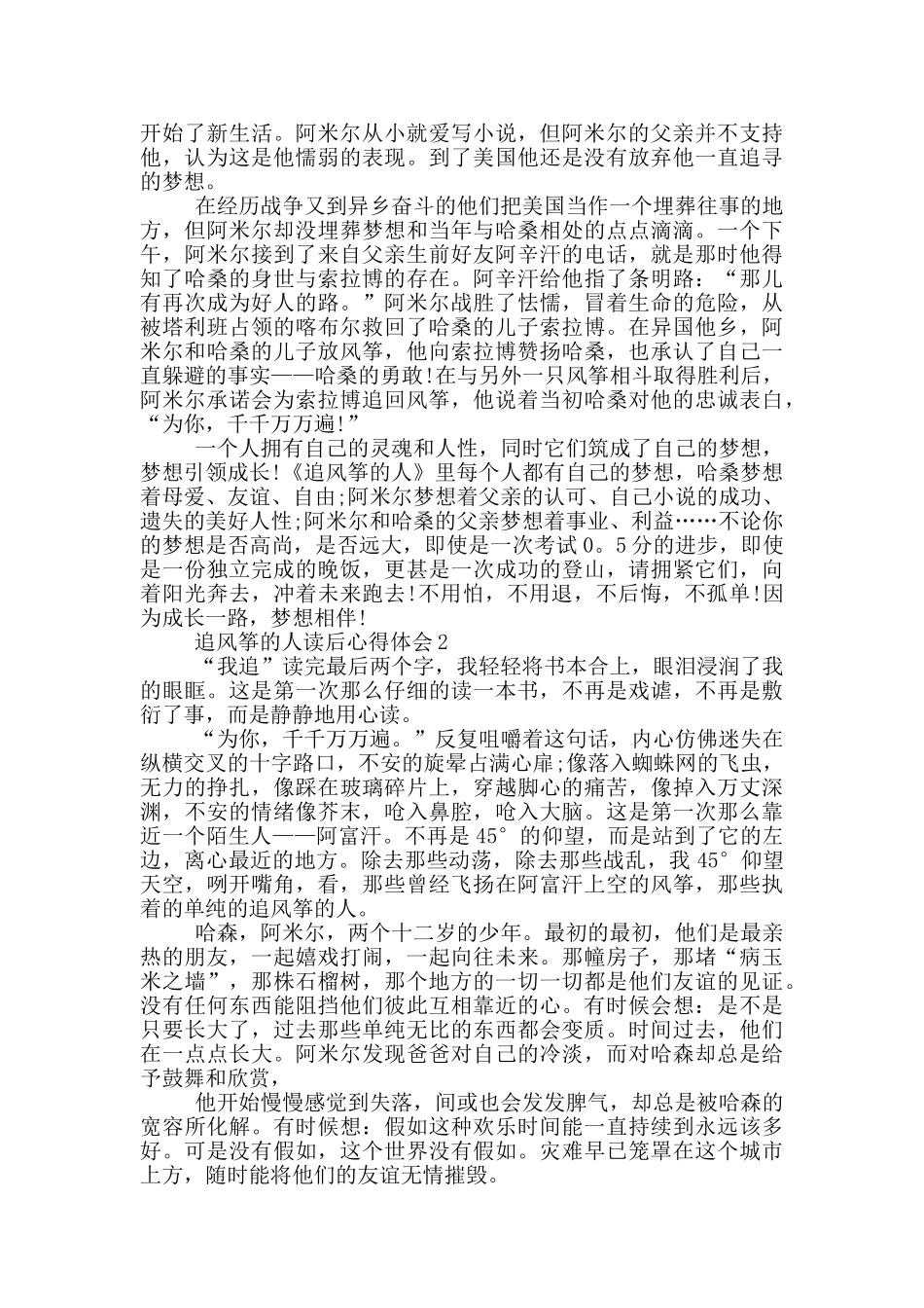 追风筝的人读后心得体会范文5篇_第2页