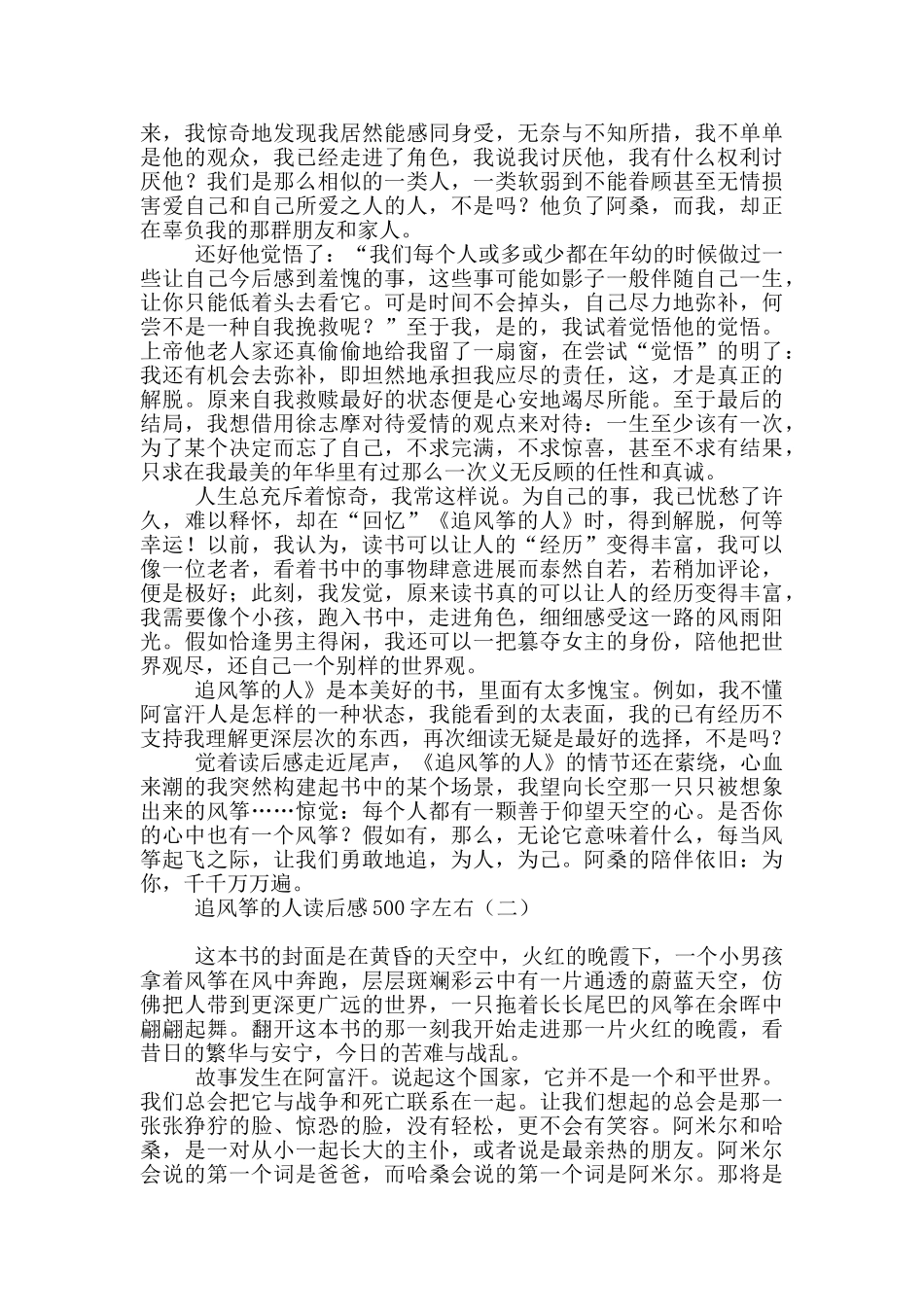 追风筝的人读后感500字左右_第2页