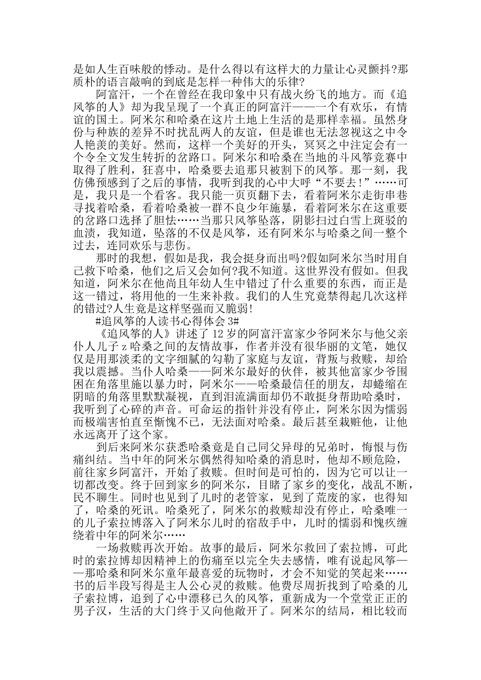 追风筝的人读后感作文2024范文_第2页