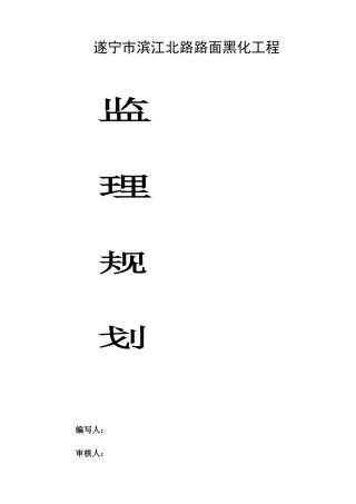 遂宁市滨江路路面黑化工程监理规划