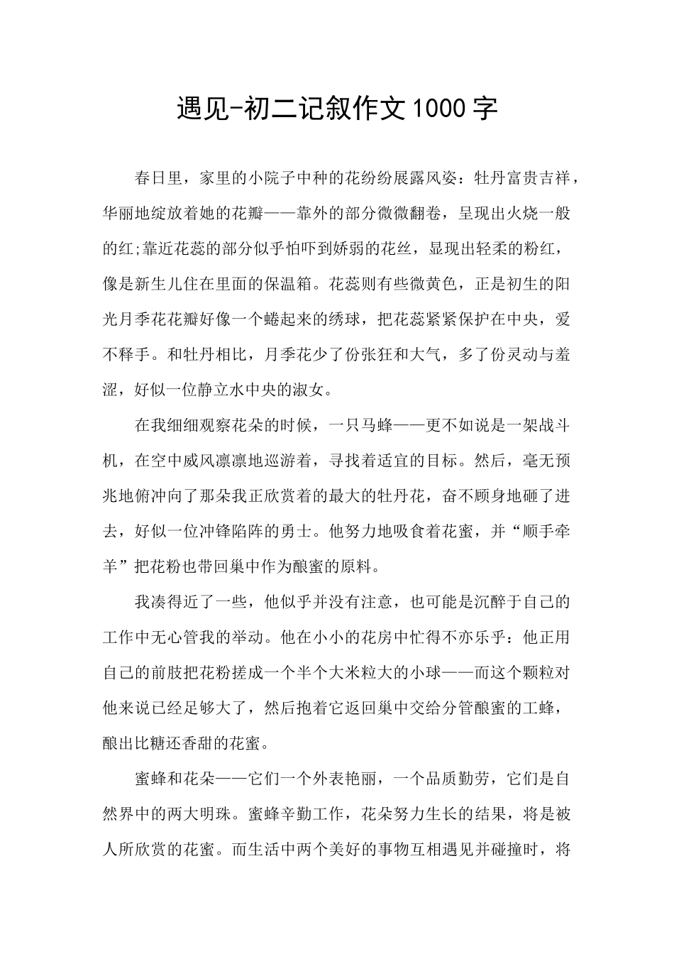 遇见-初二记叙作文1000字_第1页