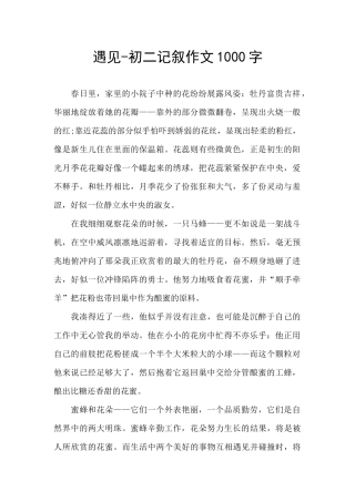 遇见-初二记叙作文1000字