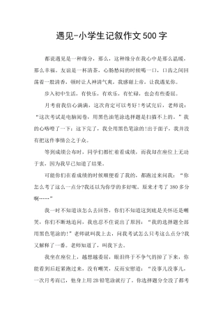 遇见-小学生记叙作文500字