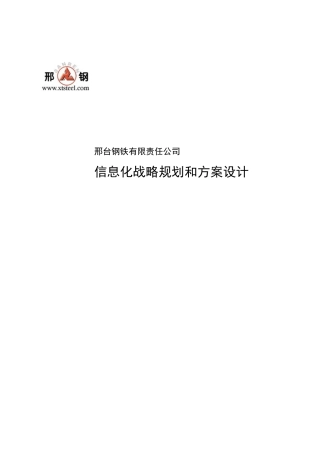 邢钢信息战略规划