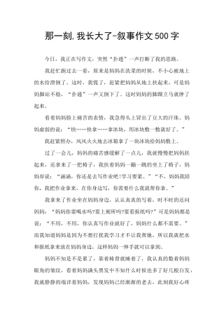 那一刻-我长大了-叙事作文500字