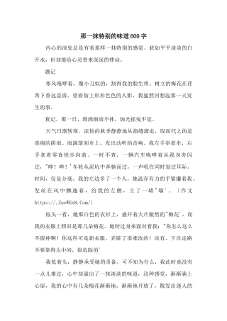 那一抹特别的味道600字