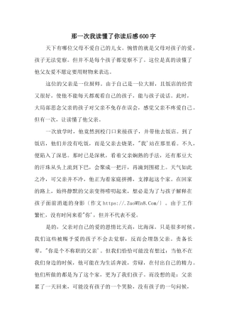 那一次我读懂了你读后感600字