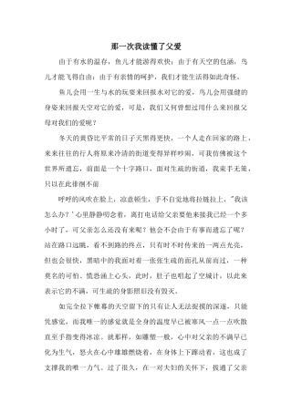 那一次我读懂了父爱