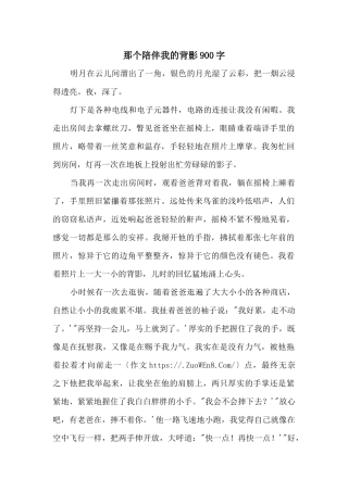 那个陪伴我的背影900字