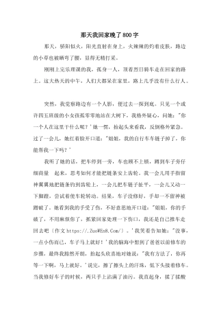 那天我回家晚了800字