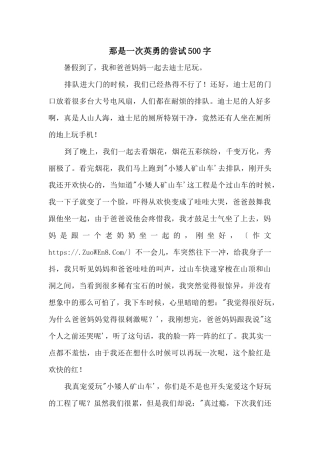 那是一次勇敢的尝试500字