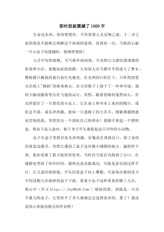 那时我被震撼了1000字