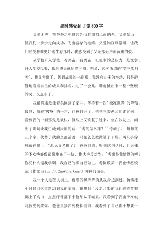 那时感受到了爱800字