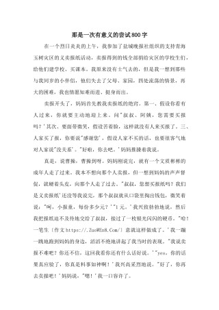 那是一次有意义的尝试800字