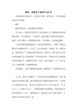 那时，我牵住了他的手800字