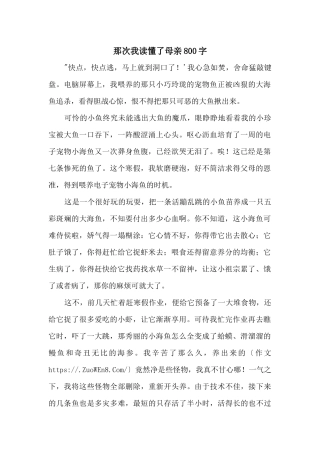 那次我读懂了母亲800字