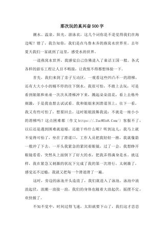 那次玩的真高兴500字