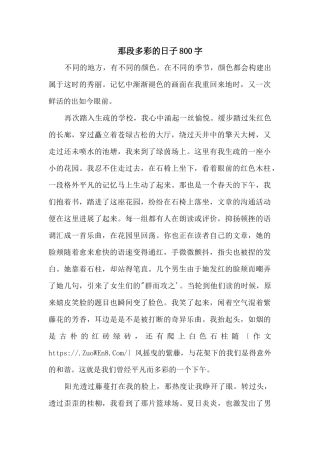 那段多彩的日子800字