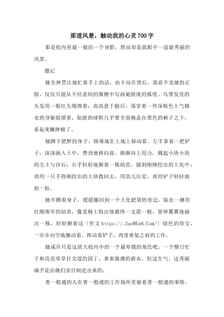 那道风景，触动我的心灵700字