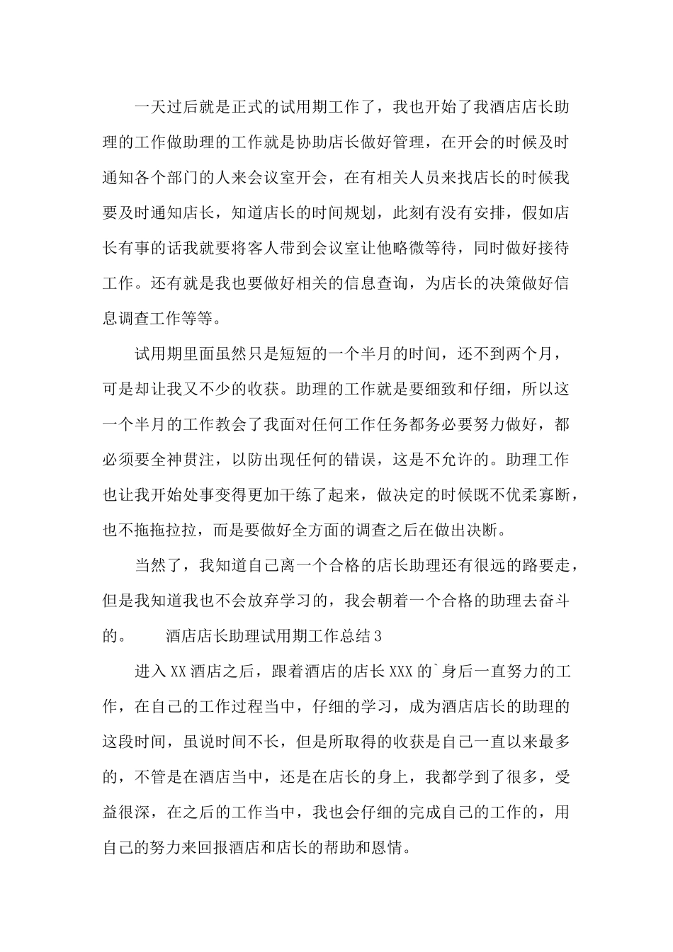 酒店店长助理试用期工作总结三篇_第2页