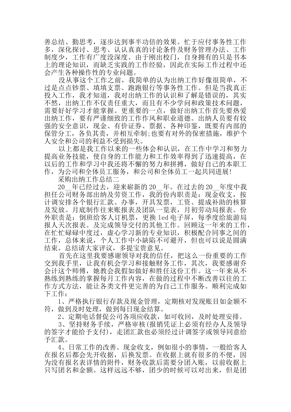 采购出纳工作总结范文_第2页