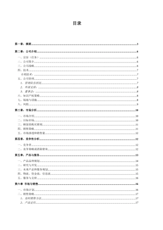 网络文化发展有限公司网络商业计划书