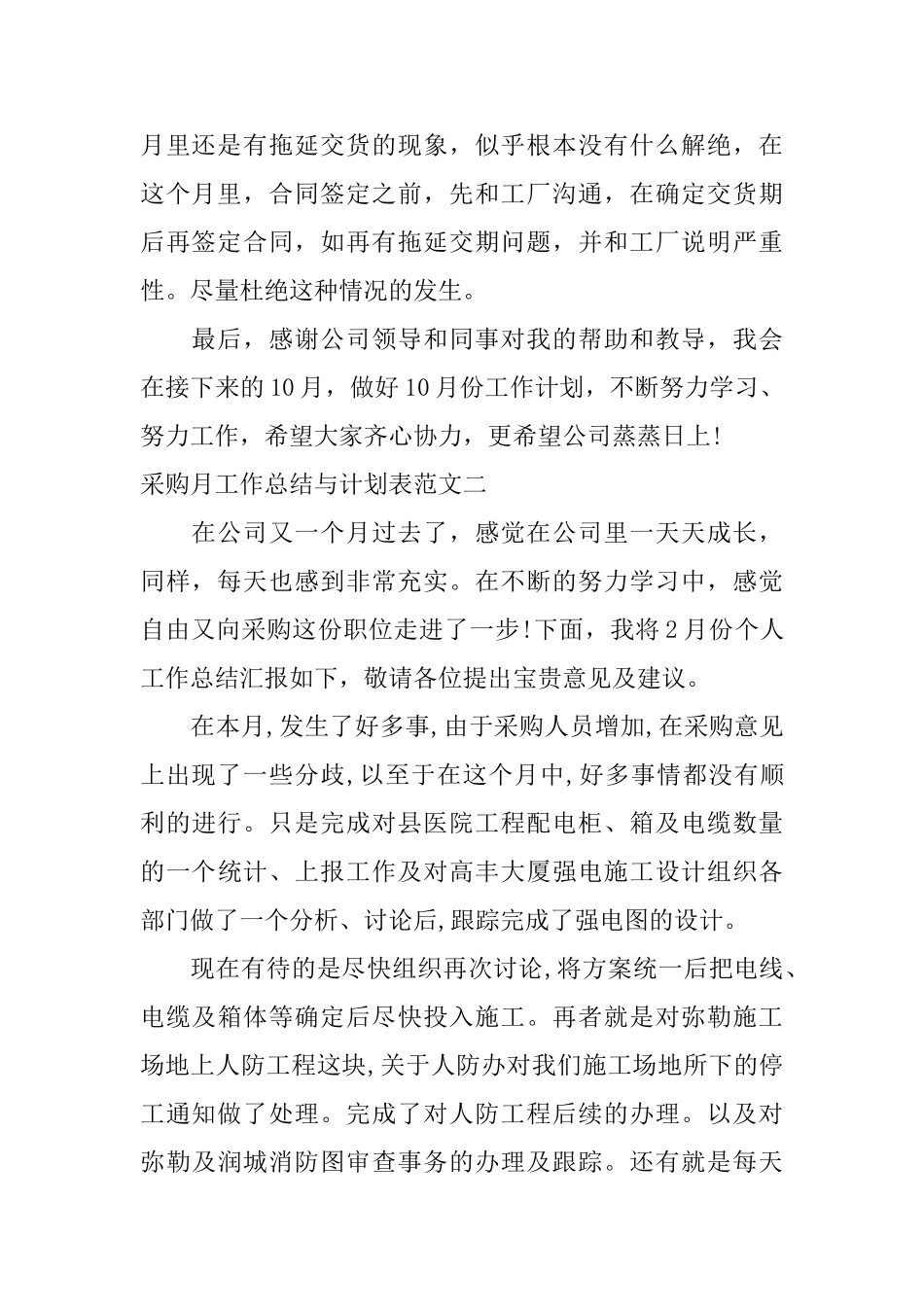 采购月工作总结与计划表_第2页