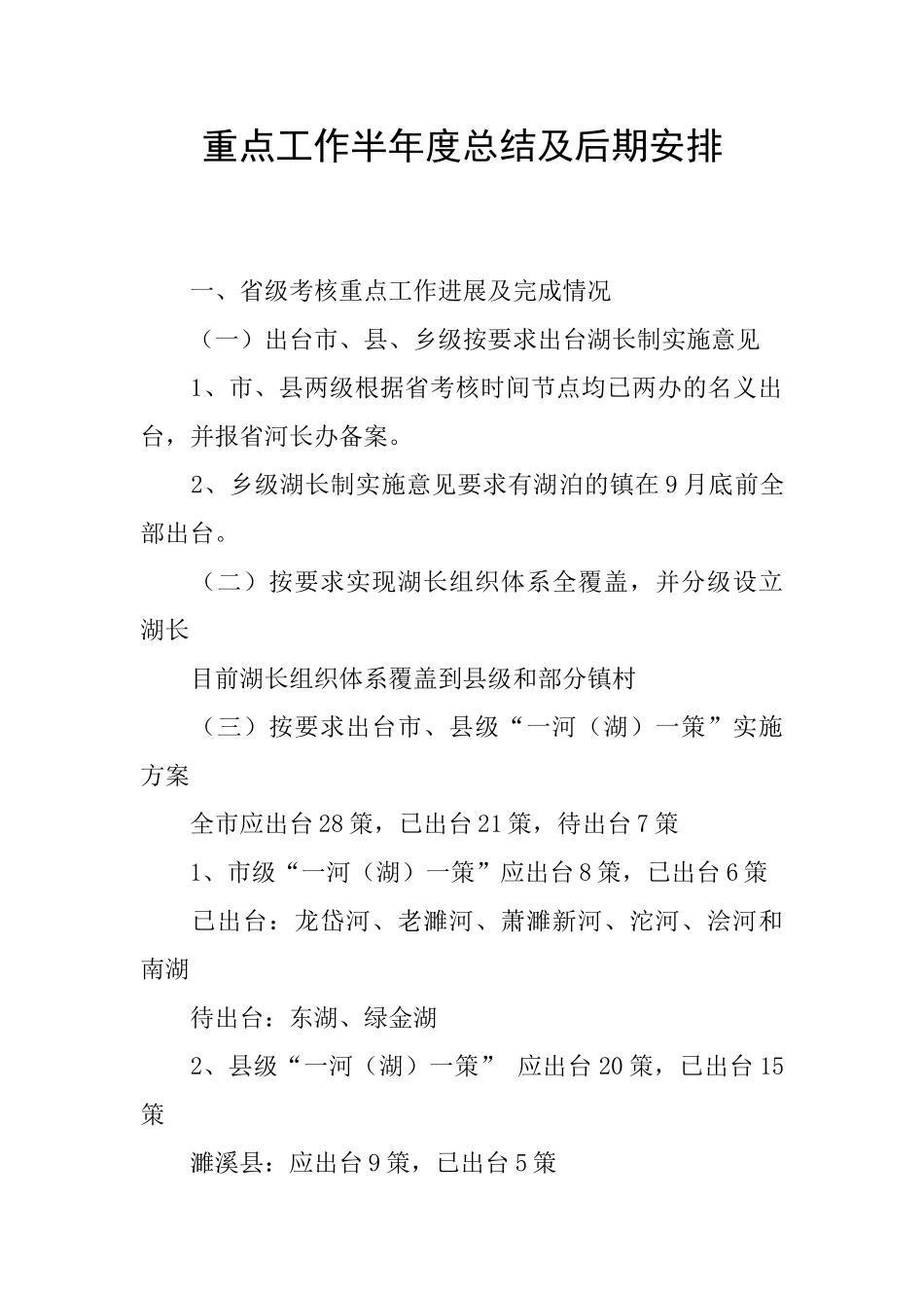 重点工作半年度总结及后期安排_第1页