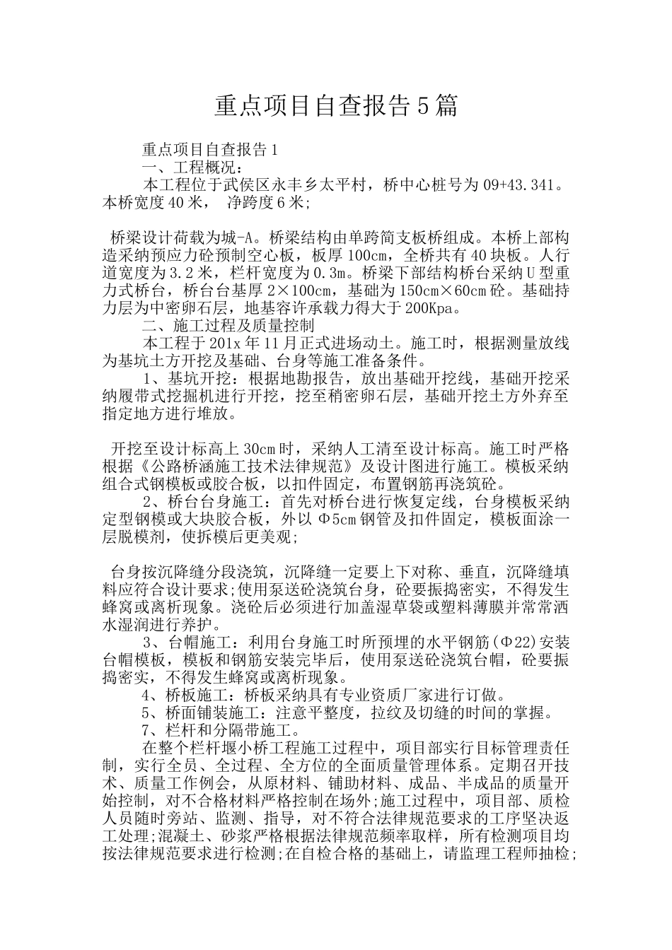 重点项目自查报告5篇_第1页