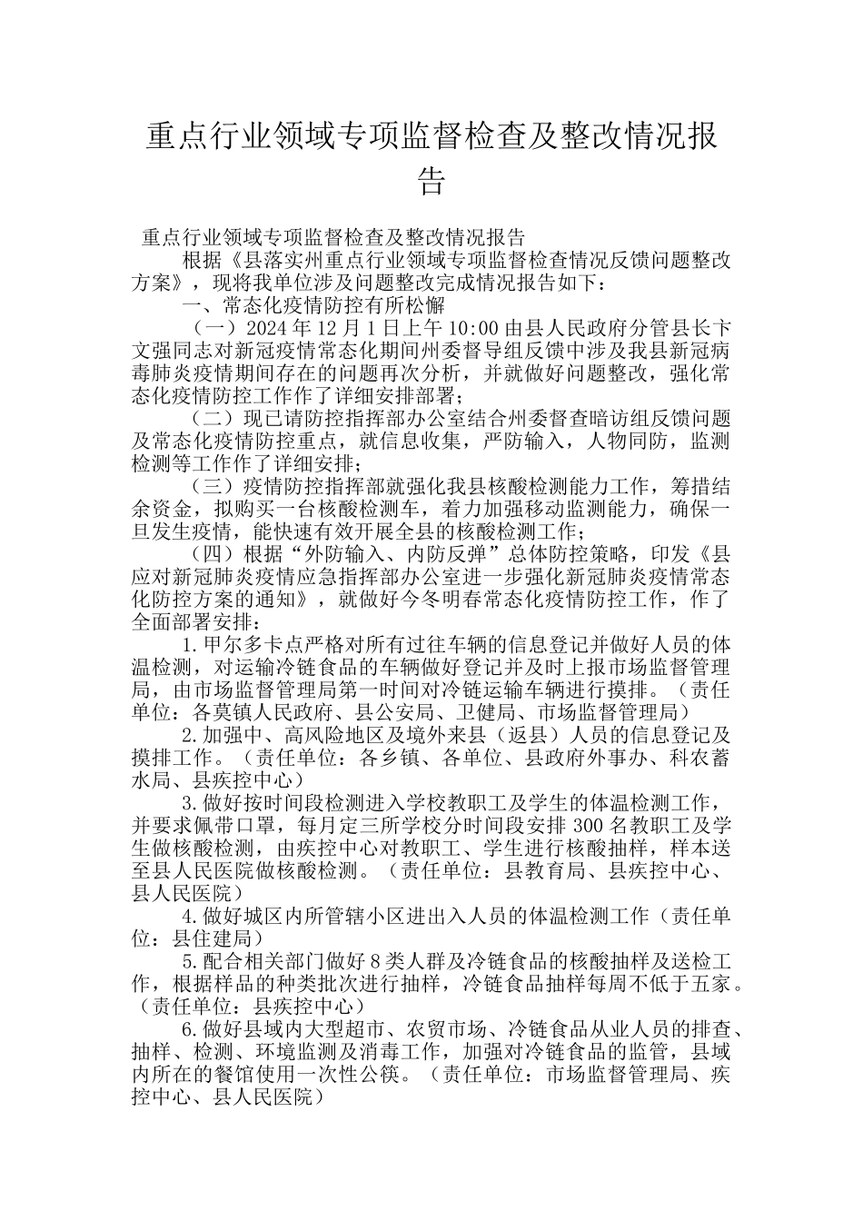 重点行业领域专项监督检查及整改情况报告_第1页