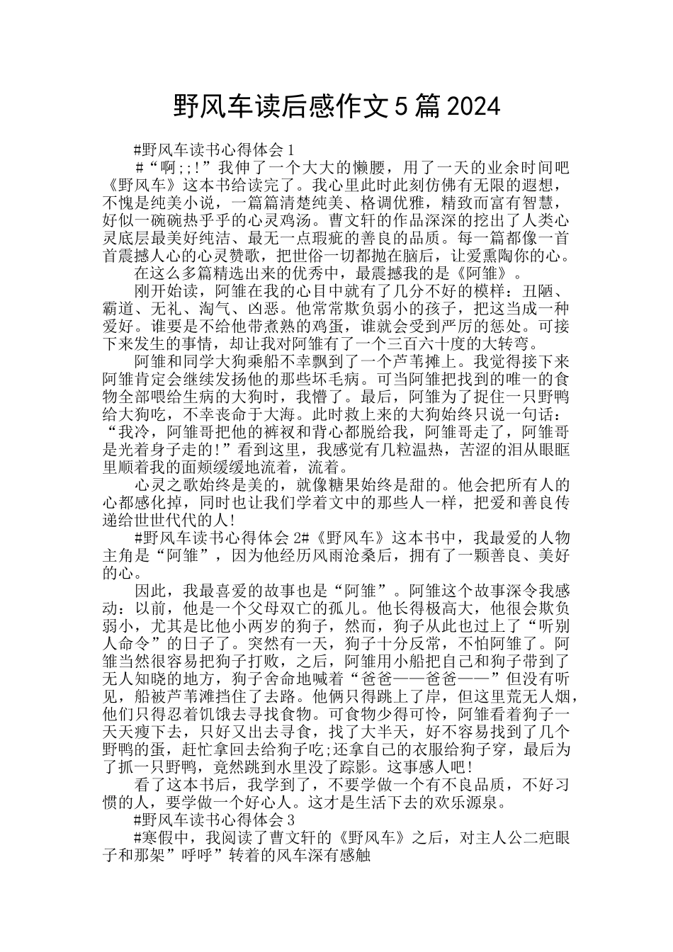 野风车读后感作文5篇2024_第1页