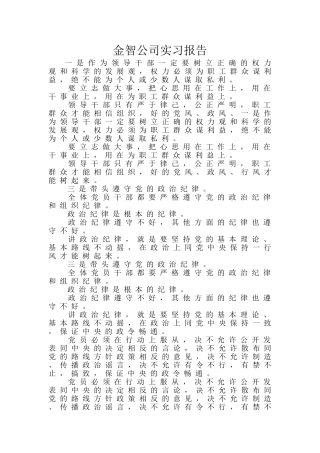 金智公司实习报告